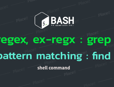 Shell Script Regex Parameters